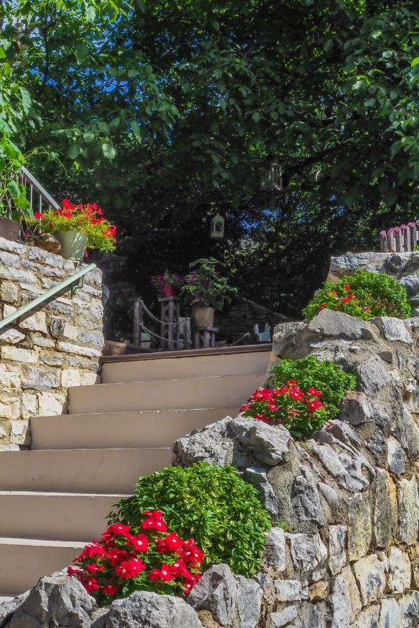 Vikos Hotel Monodendri Exteriér fotografie