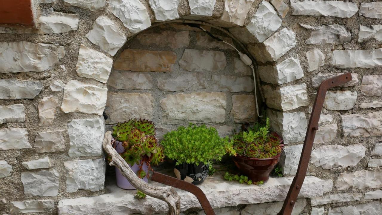 Vikos Hotel Monodendri Exteriér fotografie